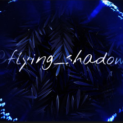 flying_shadow