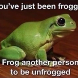 frogged frog freetoedit