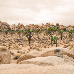 desert landscape rocks stones sand beige unsplash freetoedit
