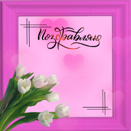 открытка тюльпаны розовый поздравляю freetoedit