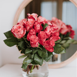 flowers roses redroses vase reflection mirror unsplash freetoedit
