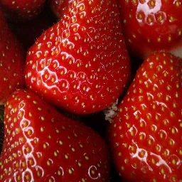 nature strawberry strawberryplant bloodred fruit berry red redeyes freetoedit pcfood food