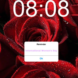 roses background red freetoedit rciwd2023 iwd2023
