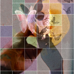 mariposa mariposas butterfly flower shadow cuadricula pink amarillo freetoedit ircflowerinhand flowerinhand