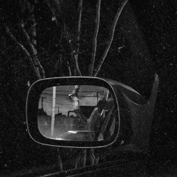 blackandwhite mirror weather nature tree dust
