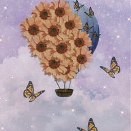 butterfly flowers globoaerostatico glitters freetoedit srcairballooninclouds airballooninclouds